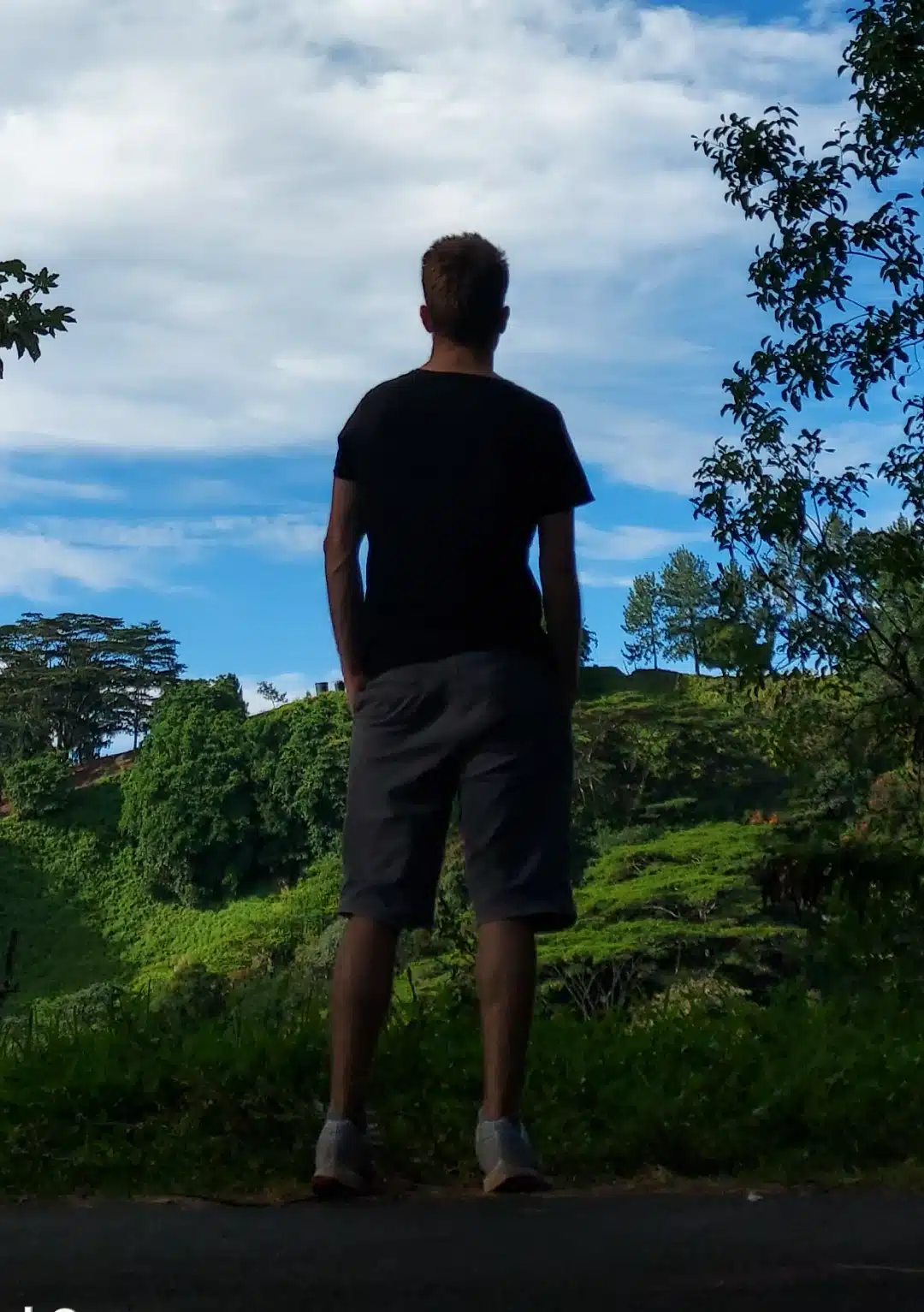 Martin Grouiller - Accompagnements psychiques, énergétiques et physique personnalisé. - Une personne se tient sur une colline, face à un paysage pittoresque composé d'arbres verdoyants et d'un ciel bleu parsemé de quelques nuages. La scène est paisible et propice à la contemplation.
